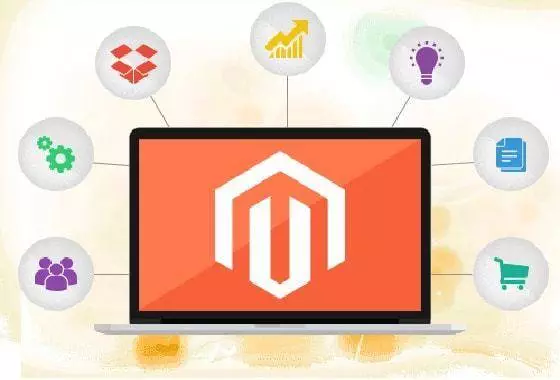 magento-kenmerken Magento Webshop 2